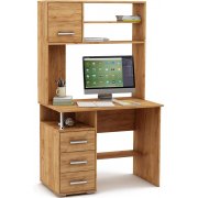 дуб золотистый