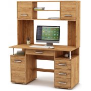 дуб золотистый