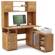 дуб золотистый