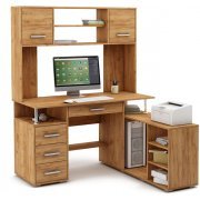 дуб золотистый