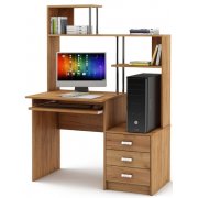 дуб золотистый