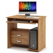 дуб золотистый