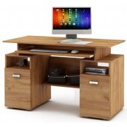 дуб золотистый