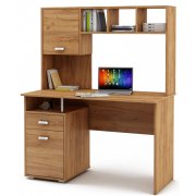 дуб золотистый