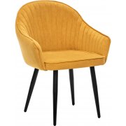 горчица / черный