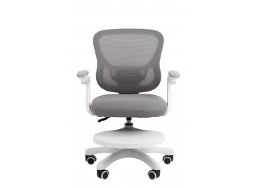 Компьютерное кресло Chairman CH106