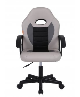 Компьютерное кресло Chairman CH111