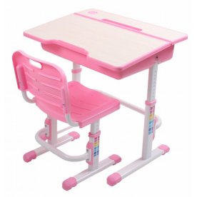 Комплект EVOLIFE Study 2 розовый