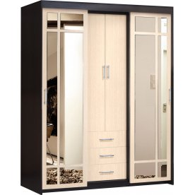 Шкаф-купе арт.010