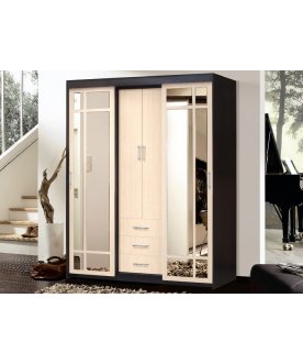 Шкаф-купе арт.010