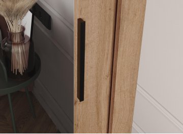 Шкаф-купе Дрим-1 2 м