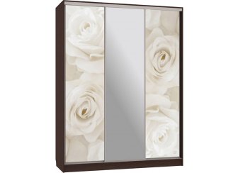 Шкаф-купе Бассо 10-600