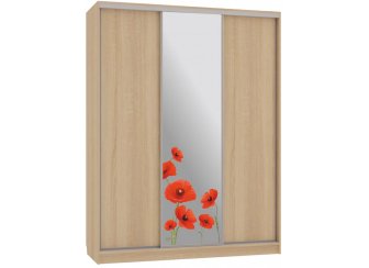 Шкаф-купе Бассо 1-600