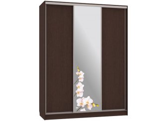 Шкаф-купе Бассо 1-600