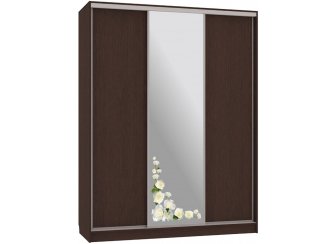 Шкаф-купе Бассо 1-600