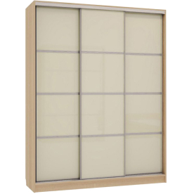 Шкаф-купе Бассо 2-600