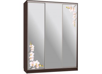 Шкаф-купе Бассо 4-600