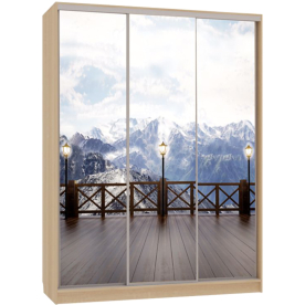 Шкаф-купе Бассо 7