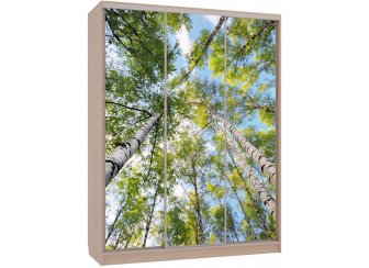 Шкаф-купе Бассо 7-600 57