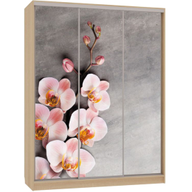 Шкаф-купе Бассо 7-600 78