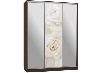 Шкаф-купе Бассо 9-600