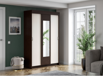 Шкаф-купе Тэсса