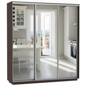 Шкаф-купе D3-04 240х60