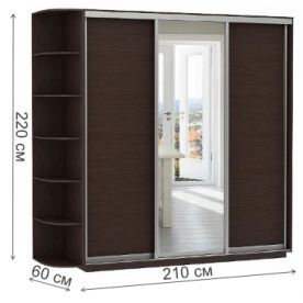 Шкаф-купе D3-06 220х60