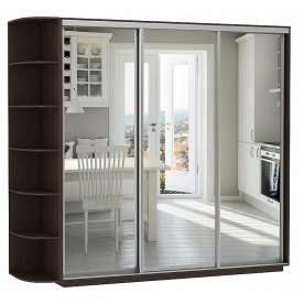 Шкаф-купе D3-08 240х60