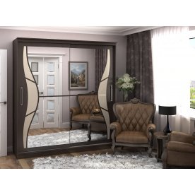 Шкаф-купе Дарина 1,5 м