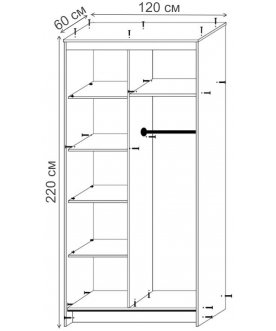 Шкаф-купе Дуэт-2