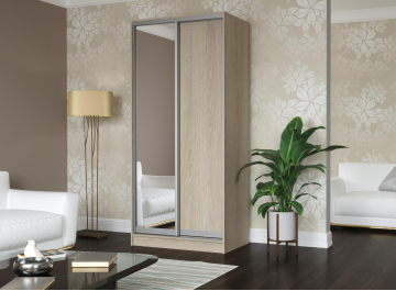 Шкаф-купе Дуэт-2
