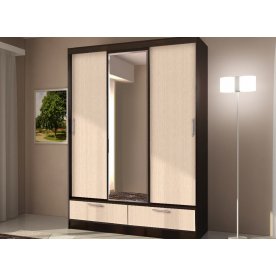 Шкаф-купе арт.009