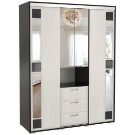 Шкаф-купе Маэстро-3