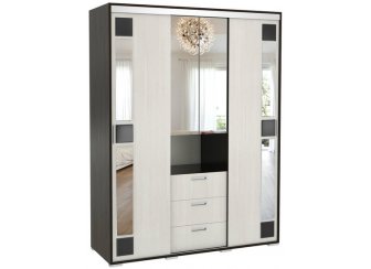 Шкаф-купе Маэстро-3