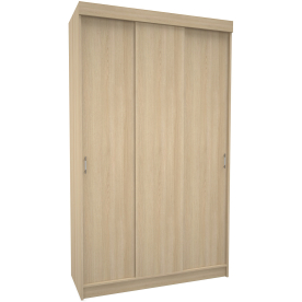 Шкаф-купе СК1