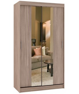 Шкаф-купе Риф 2 ШК.022.1200-23 вариант 4