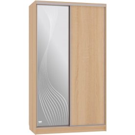 Шкаф-купе Рио 1-600