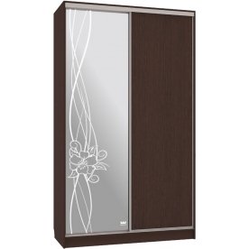 Шкаф-купе Рио 1-600