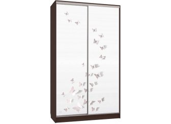 Шкаф-купе Рио 7-600 18