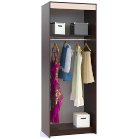 Шкаф-купе ШР-96.1