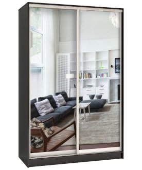 Шкаф-купе Стандарт 2 ШК.004.1400-09