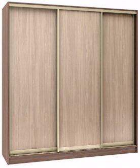 Шкаф-купе Стандарт 3 ШК.010.1600-08