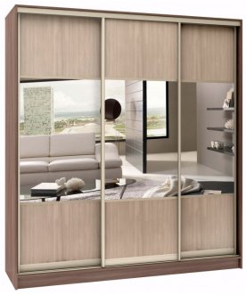 Шкаф-купе Стандарт Комбо 3.1 ШК.010.2400-19