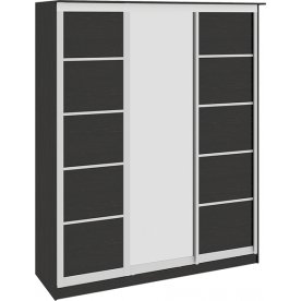 Шкаф-купе Стэн 140.05.002