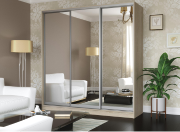 Шкаф-купе Зеркало-3