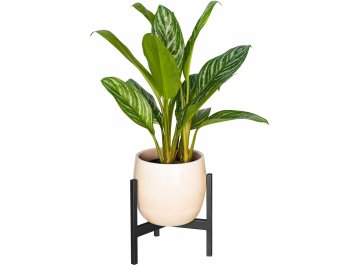 Цветочница Trinity 25