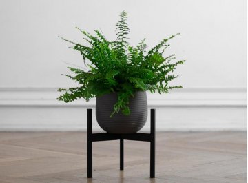 Цветочница Trinity 25