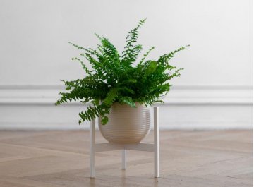 Цветочница Trinity 25