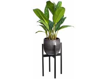 Цветочница Верона 20